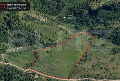 Teren de 9641 mp, în Ponor