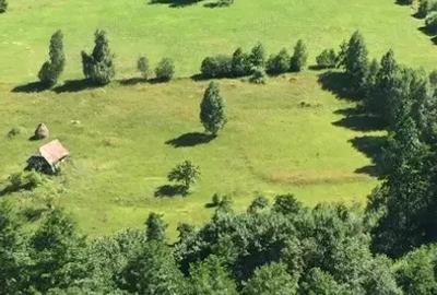 Teren de 10000 mp, în Moieciu - 2