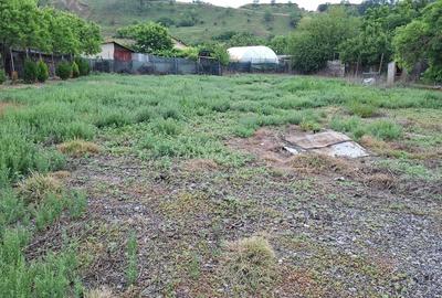 Casă cu 3 camere în Radovanu - 1