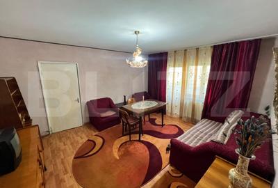 Apartament cu 2 camere semidecomandat în Brazda lui Novac