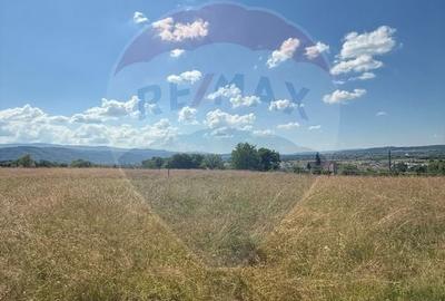 Teren Construcții de 7200 mp, în Central - 2