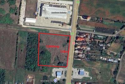 Teren Construcții intravilan de 12800 mp, în Mărăcineni - 3