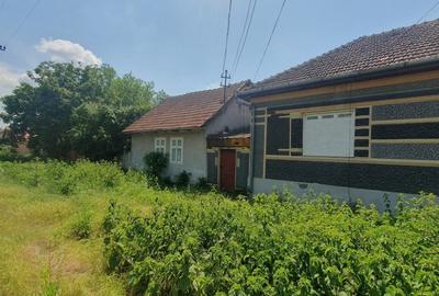 Casă cu 3 camere cu Teren 6674 Mp în Macea - 3