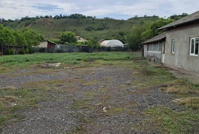 Casă cu 3 camere în Radovanu - 4