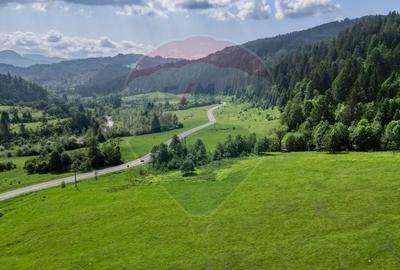 Teren intravilan de 10000 mp, în Brădet - 5