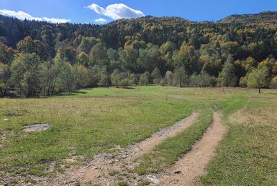 Teren agricol extravilan de 9000 mp, în Babarunca - 2
