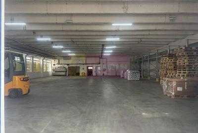 Spațiu industrial, de 3,000 mp, în Est - 23
