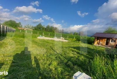 Teren de 500 mp, în Dobârlău - 6
