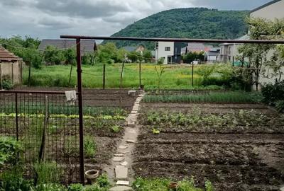 Casă cu 3 camere cu Teren 349 Mp în Sighetu Marmației