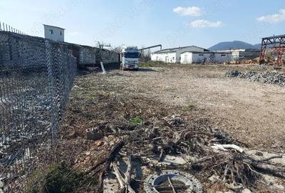 Teren de 1800 mp, în Cătălina - 5