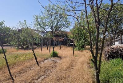 Casă cu 5 camere cu Teren 3937 Mp în Central - 3