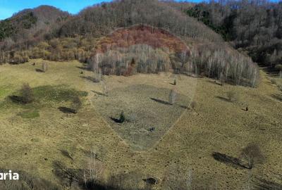 Teren de 16466 mp, în Desești - 14