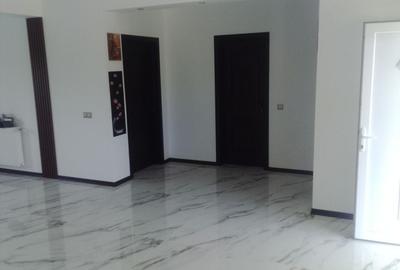 Casă cu 3 camere în Beregsău Mare