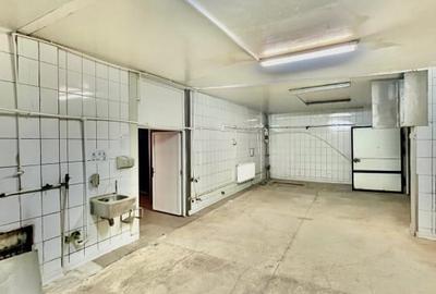 Spațiu industrial, de 850 mp, în Central - 11