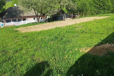 Casă cu Teren 4000 Mp în Hărman - 2