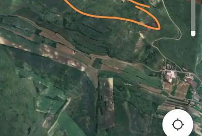 Teren de 11600 mp, în Dumitra - 2