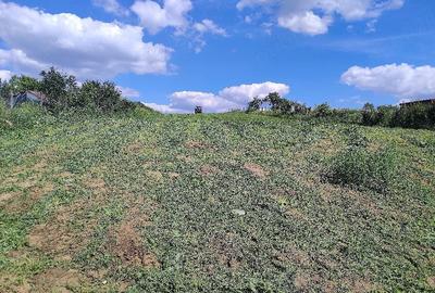 Teren de 4000 mp, în Horlești - 2