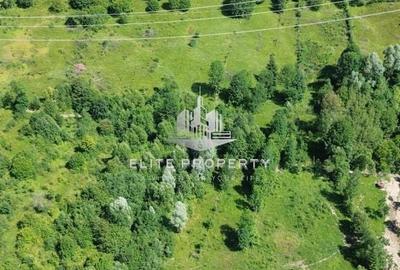 Spațiu comercial, în Trăisteni