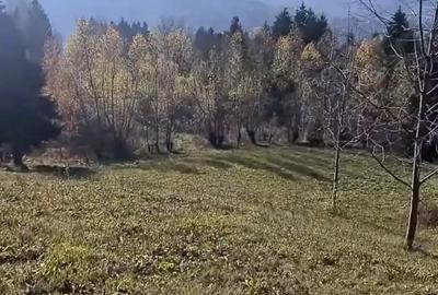 Teren de 3900 mp, în Sud - 3