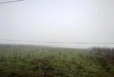 Teren de 6600 mp, în Vânători - 4