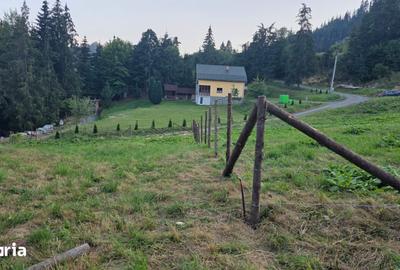 Teren de 5100 mp, în Faraoani