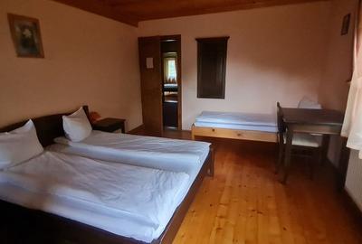 Casă cu 8 camere cu Teren 1000 Mp în Sadu - 16