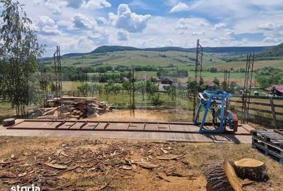 Casă cu 3 camere cu Teren 3300 Mp în Mihai Viteazu