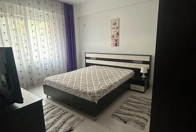 Apartament cu 2 camere semidecomandat în Roșu