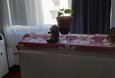 Garsonieră în Debarcader