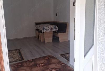 Casă cu 2 camere cu Teren 4500 Mp în Central