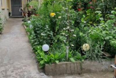 Casă individuală cu 3 camere cu Teren 200 Mp în Tăbăcărie - 1
