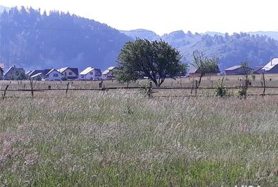 Teren de 8600 mp, în Central - 3
