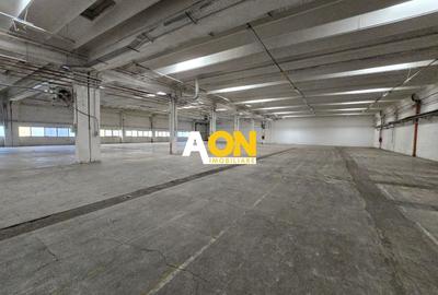 Spațiu industrial, de 2,745 mp, în Central - 6