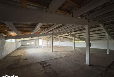 Spațiu comercial, de 200 mp, în Gruiu - 5