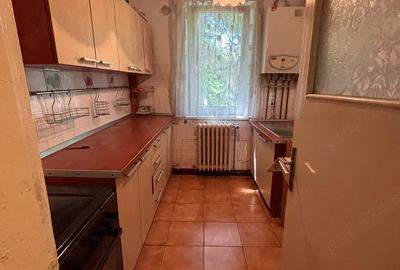 Apartament cu 2 camere nedecomandat în Bucșinescu - 2