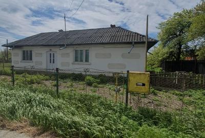 Casă individuală cu 3 camere cu Teren 1909 Mp în Nord - 2
