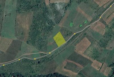 Teren de 5700 mp, în Jibert - 1