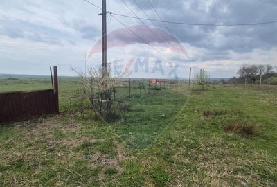 Teren Construcții intravilan de 5000 mp, în Sud - 3