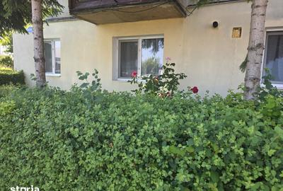 Apartament cu 2 camere în Bartolomeu - 15