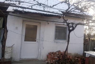 Casă în Telești - 2