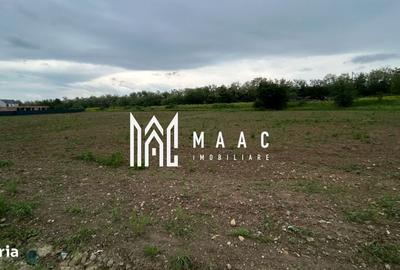 Spațiu comercial, în Șelimbăr - 5