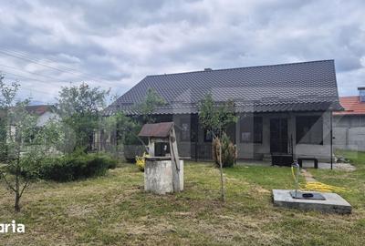 Casă cu 3 camere cu Teren 2918 Mp în Doba - 7