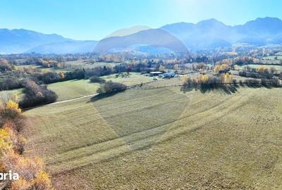 Teren de 1562 mp, în Tohănița