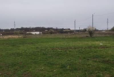 Teren Construcții intravilan de 1667 mp, în Cernica - 2