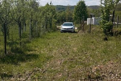 Teren de 1400 mp, în Fărcașa - 5