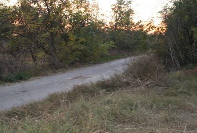 Teren Construcții intravilan de 3243 mp, în Rasa - 5