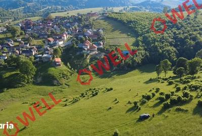Teren de 8163 mp, în Vama Buzăului