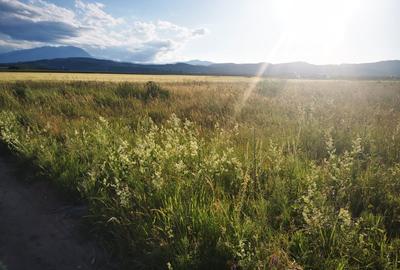 Teren agricol intravilan de 1022 mp, în Cristian - 2