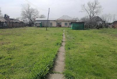 Casă cu 3 camere cu Teren 7000 Mp în Redea - 3
