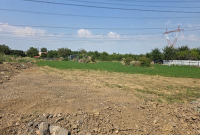 Teren Construcții intravilan de 3400 mp, în Nicolae Grigorescu - 5